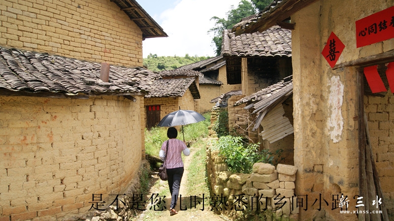 DSC00022_副本.jpg