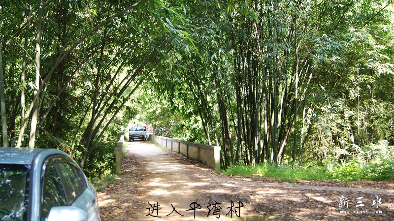 DSC00047_副本.jpg
