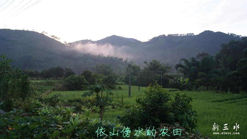 DSC00068_副本.jpg