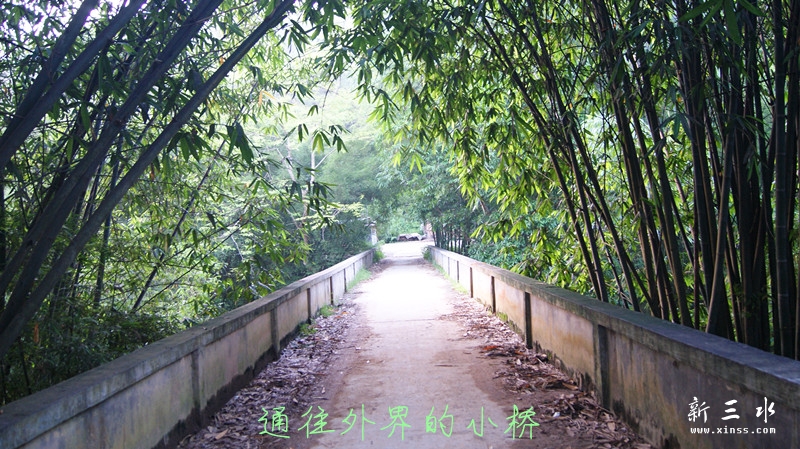 DSC00075_副本.jpg