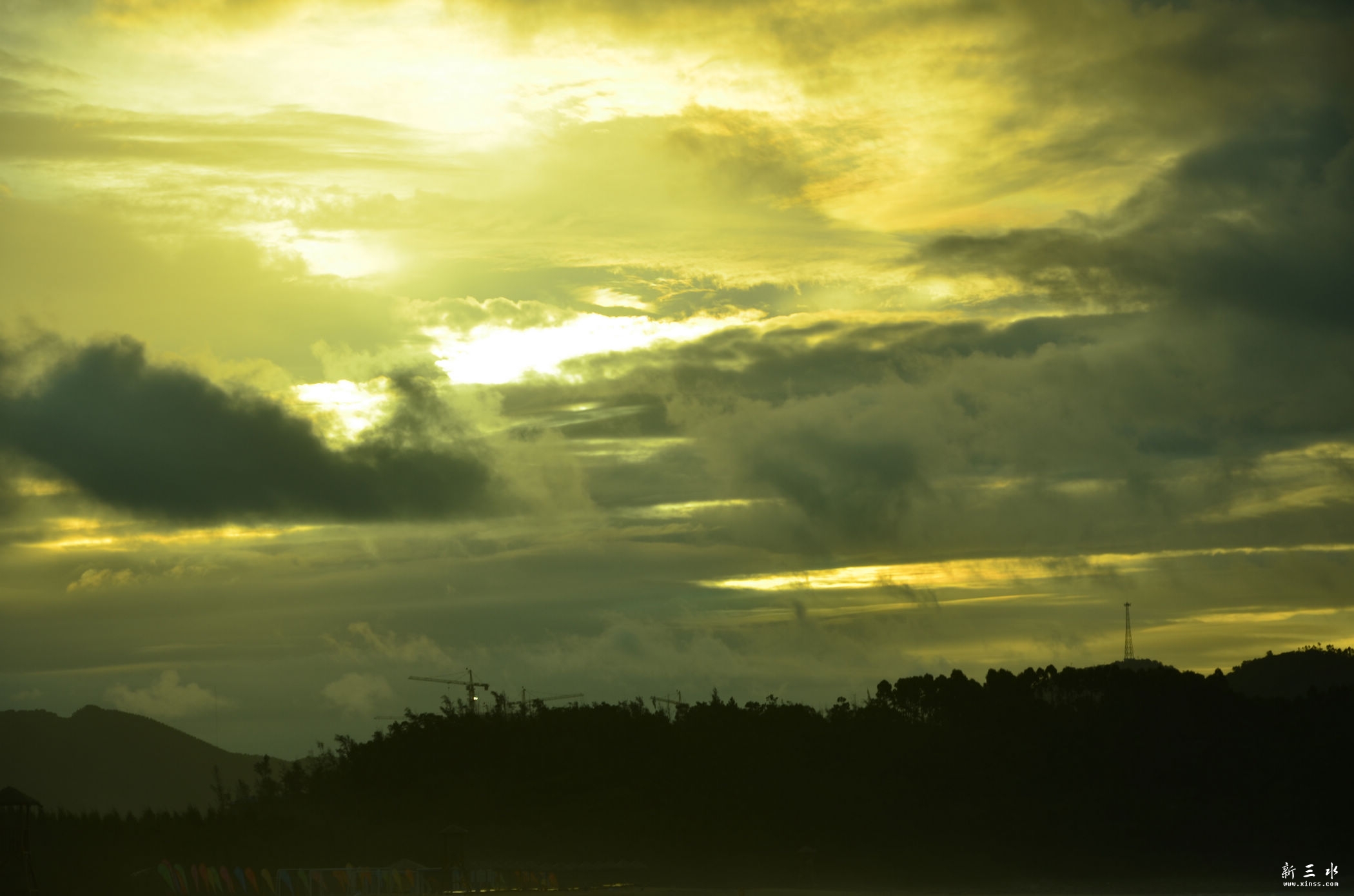 DSC_3335.jpg