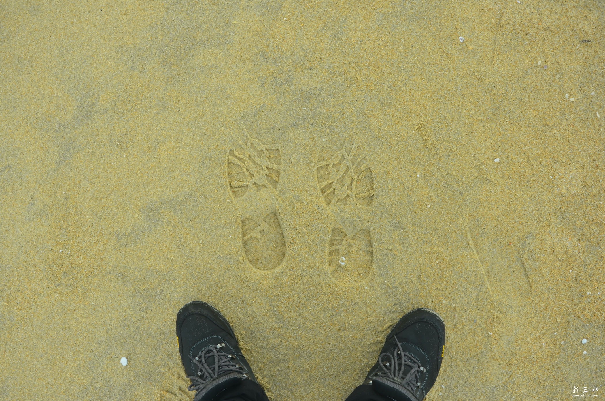 DSC_3439.jpg