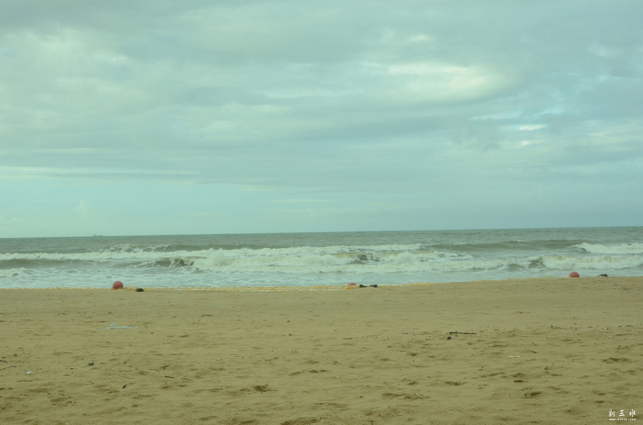 DSC_3461.jpg