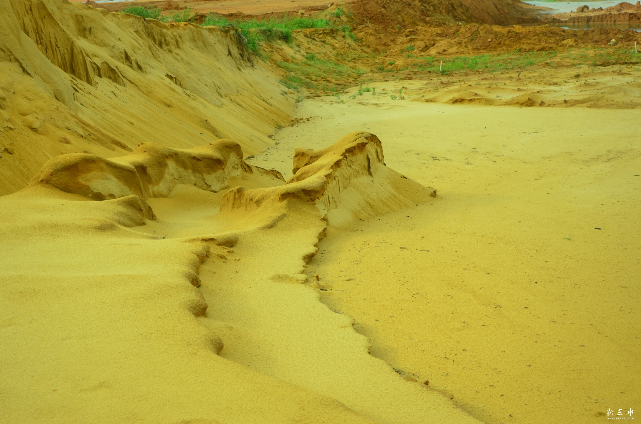 DSC_3545.jpg