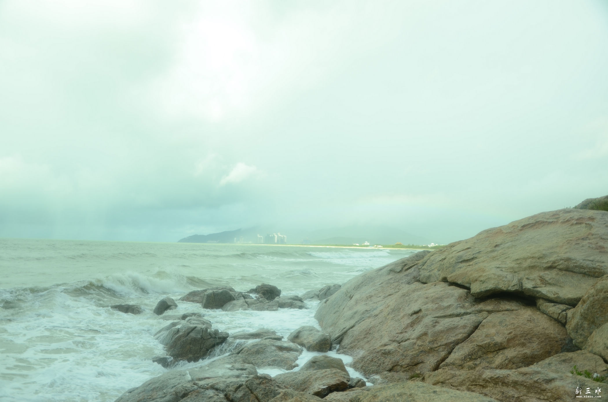DSC_3737.jpg