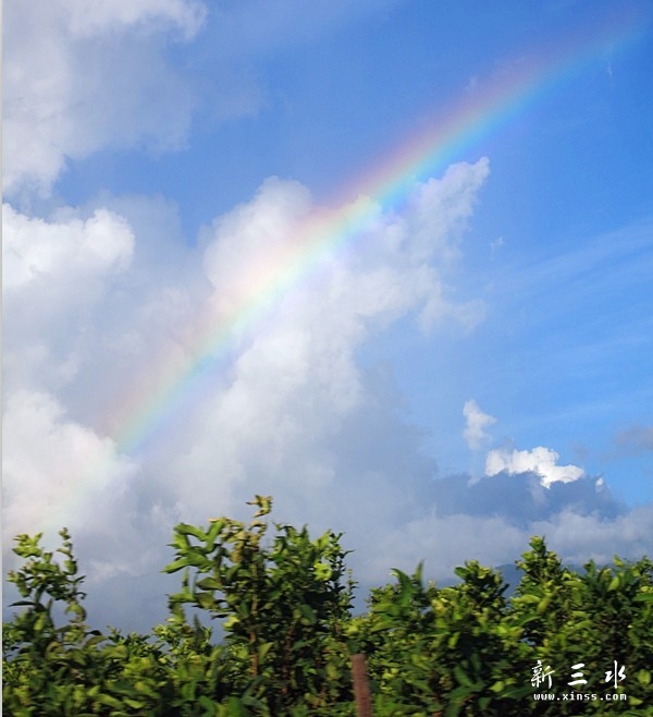 QQ图片20130714165913.jpg