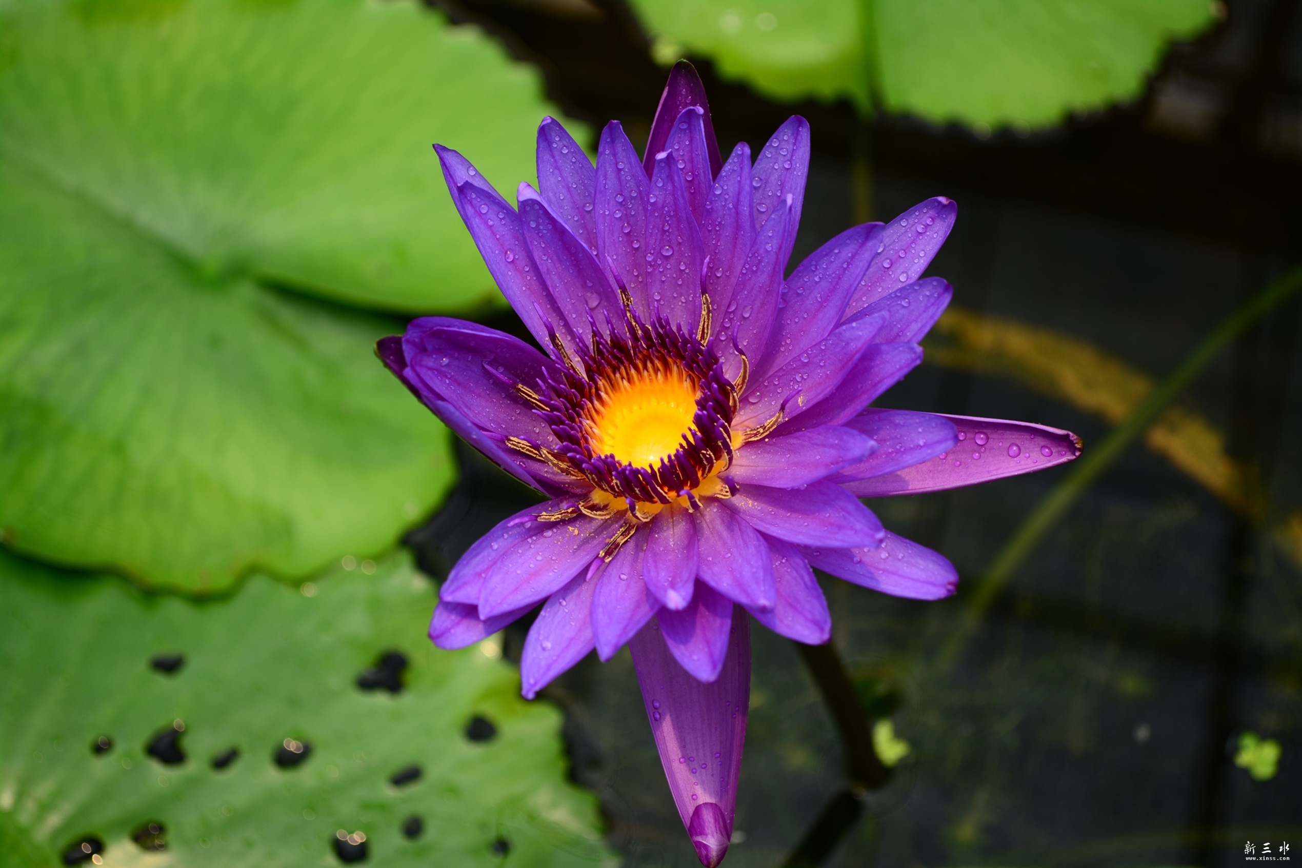DSC_0001_副本_副本.jpg