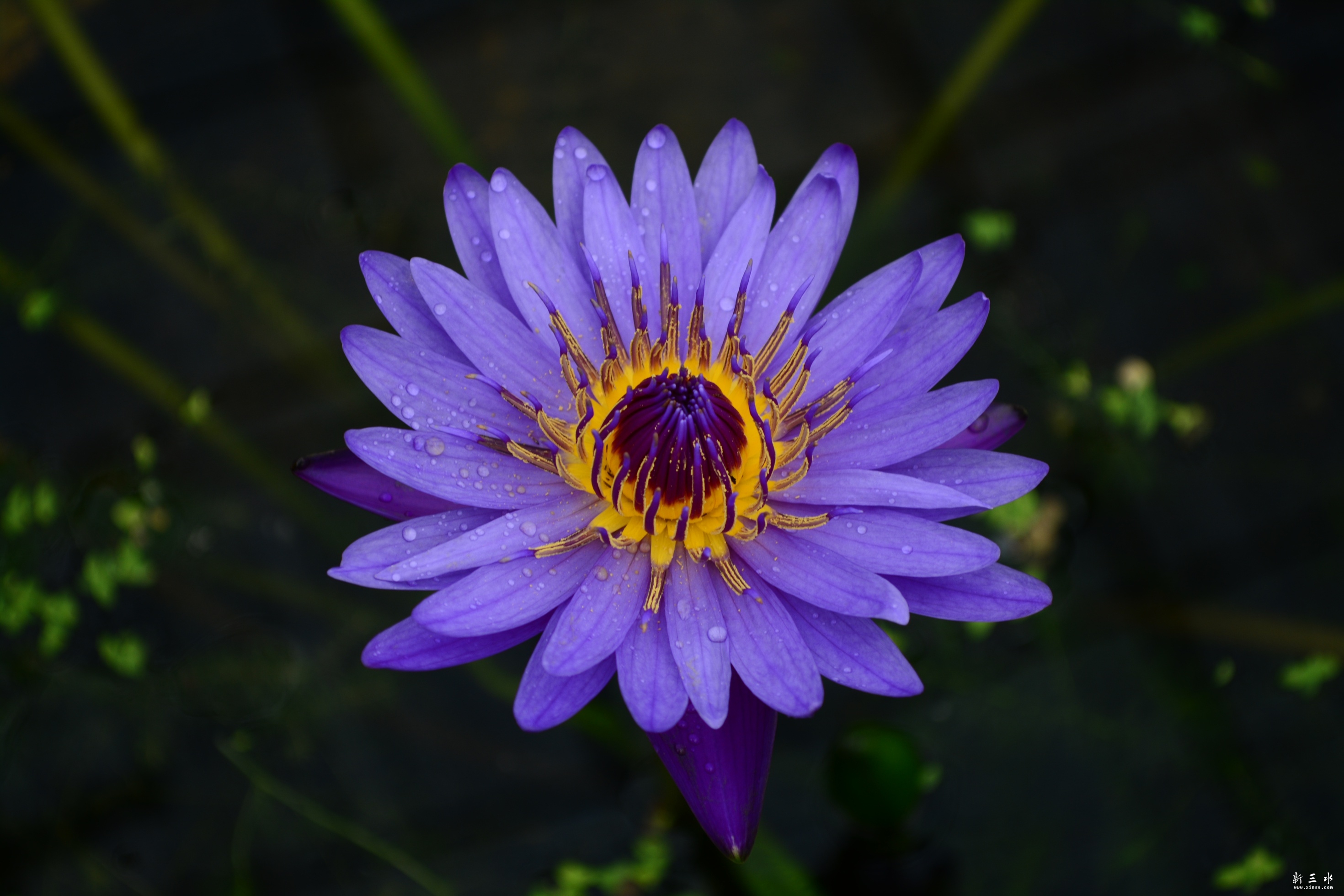 DSC_0012_副本.jpg
