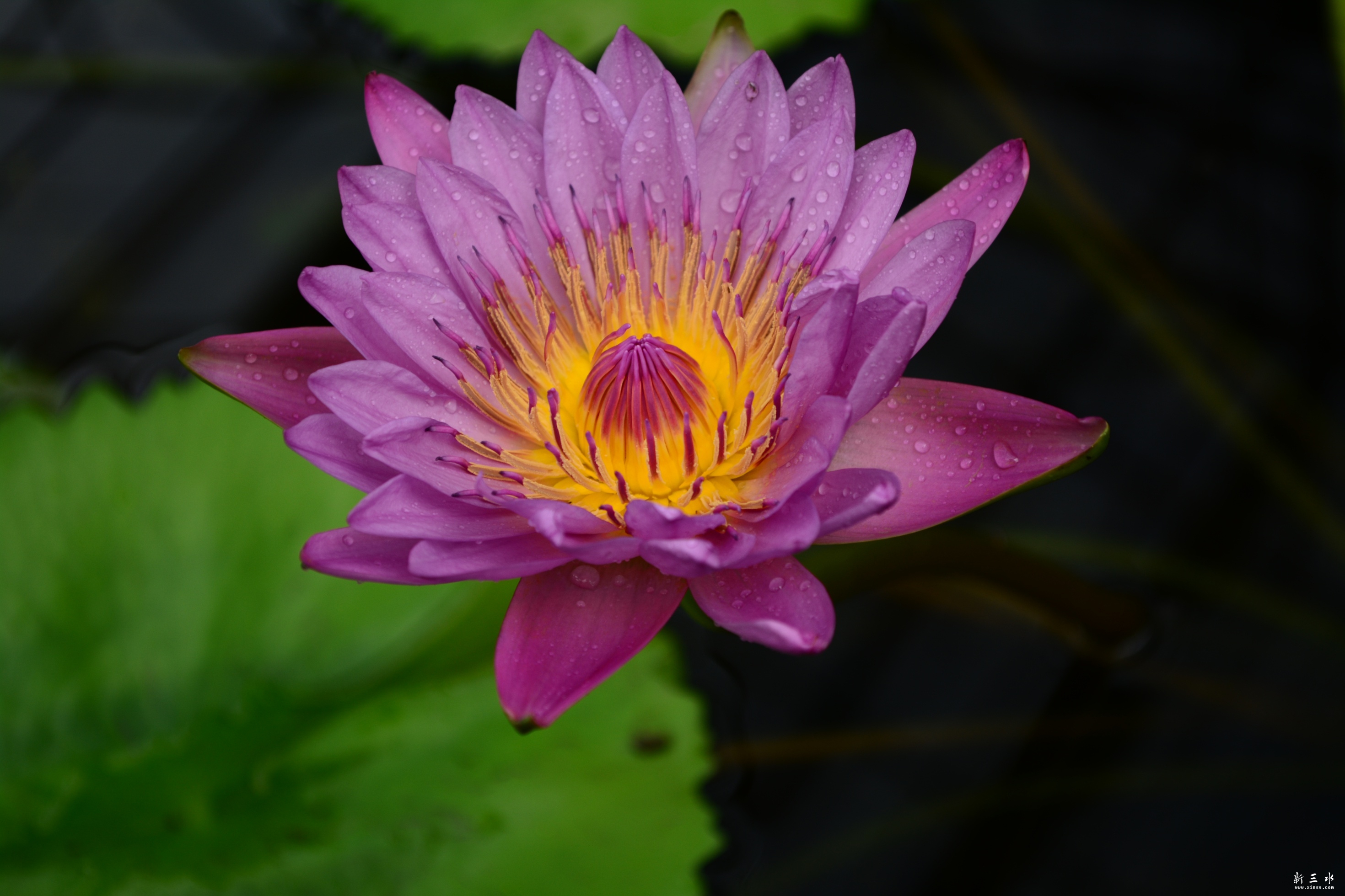 DSC_0014_副本.jpg