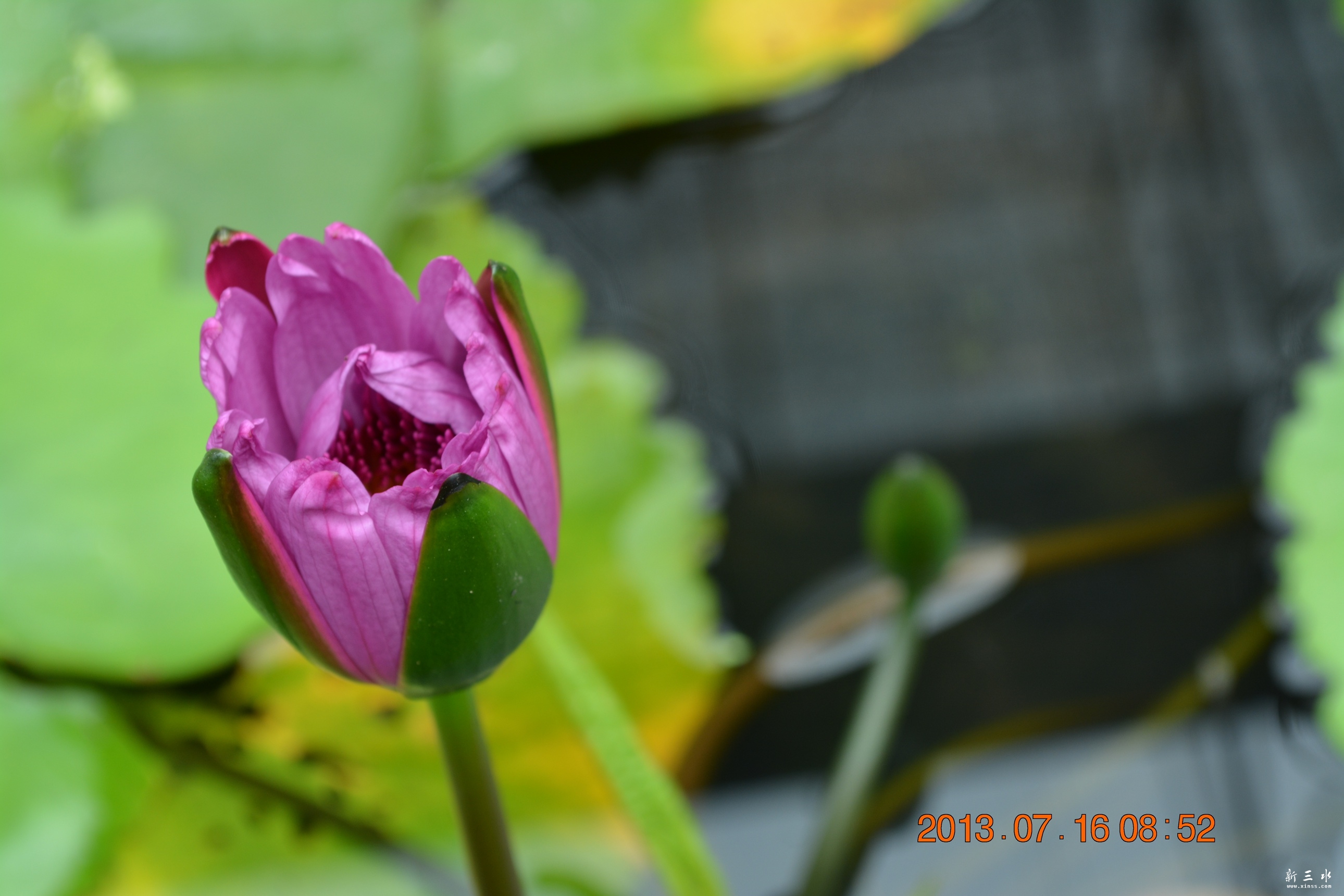 DSC_0020_.jpg