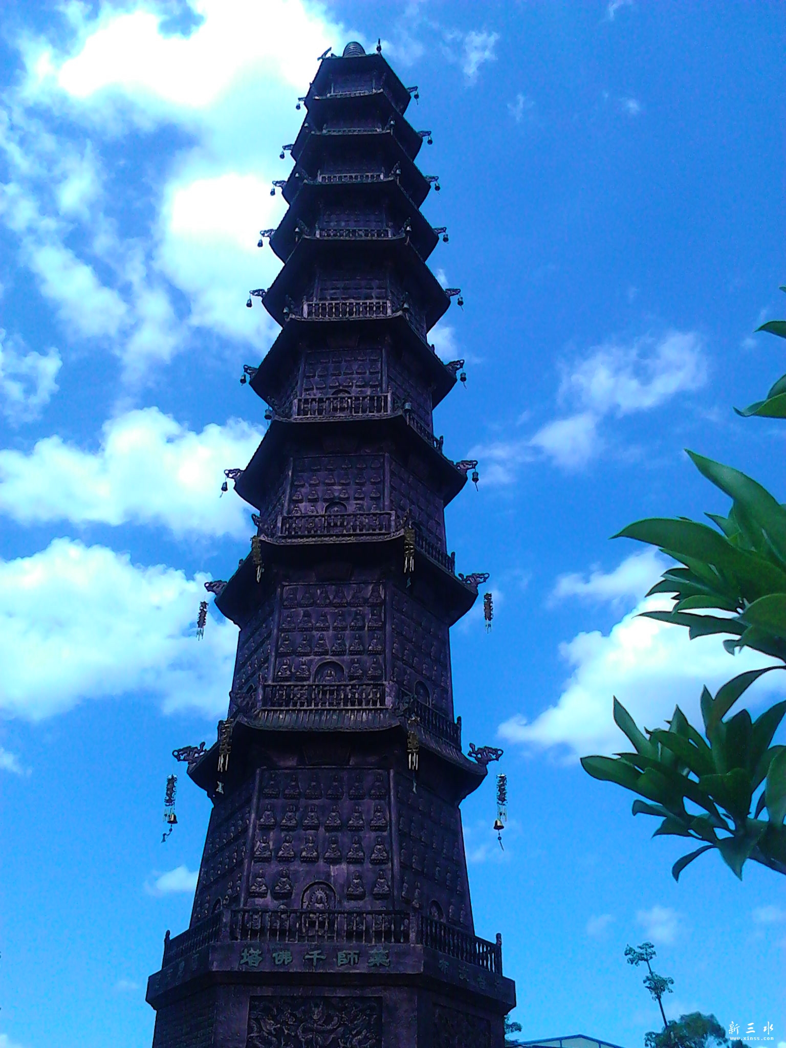 IMG_20130806_141732.jpg