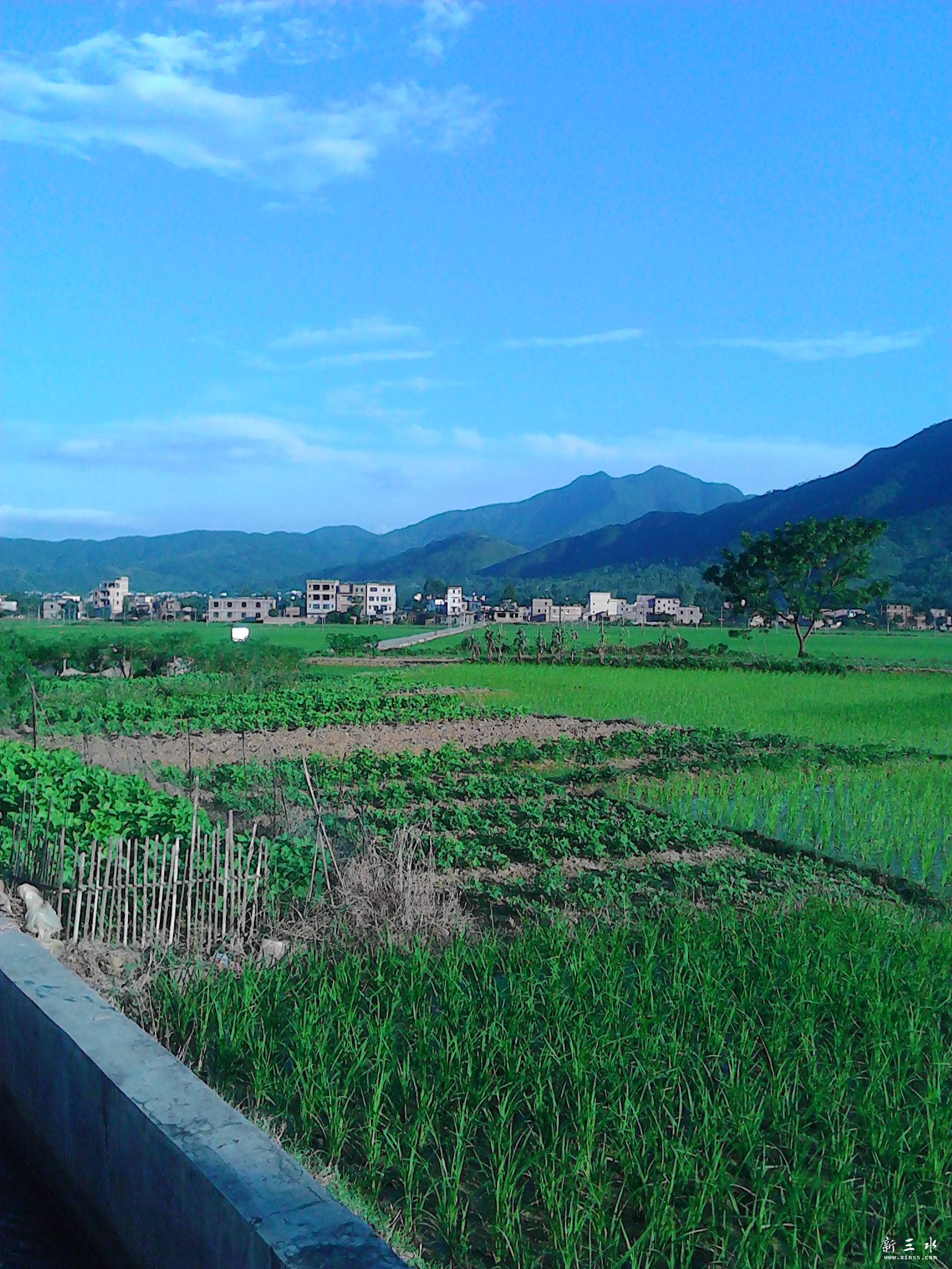 IMG_20130806_180446.jpg