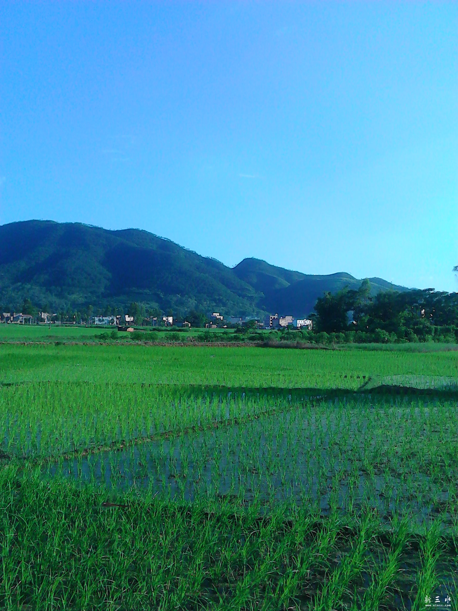 IMG_20130806_180451.jpg