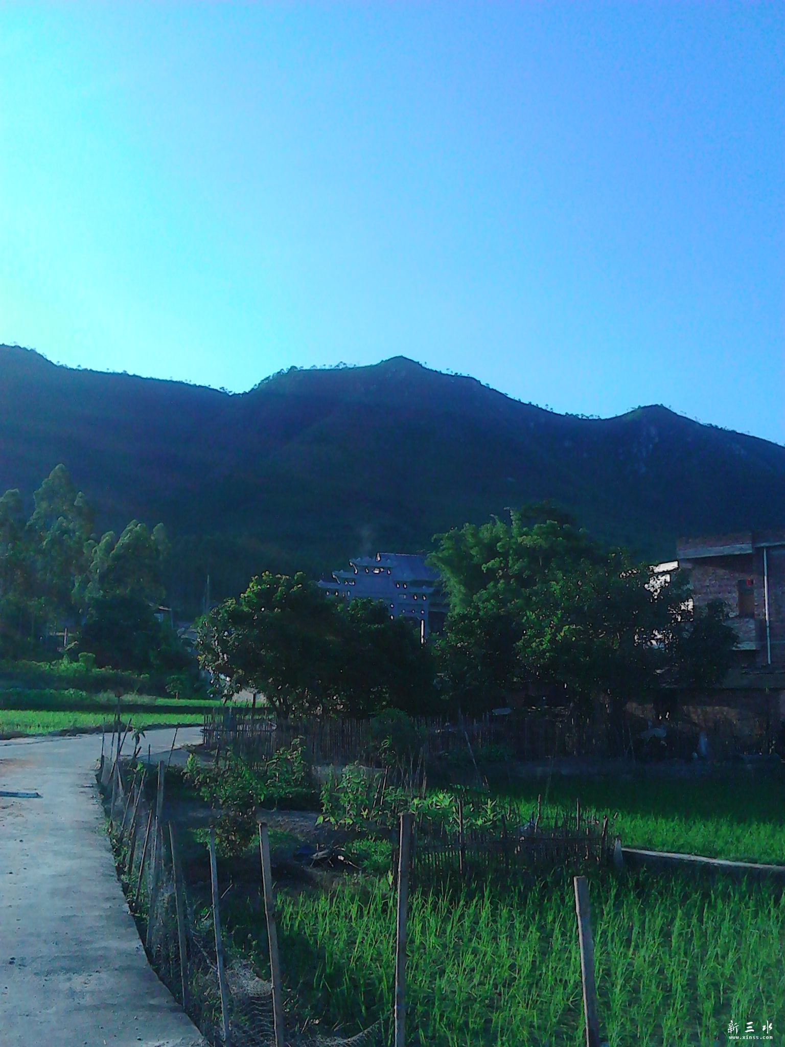 IMG_20130806_180508.jpg