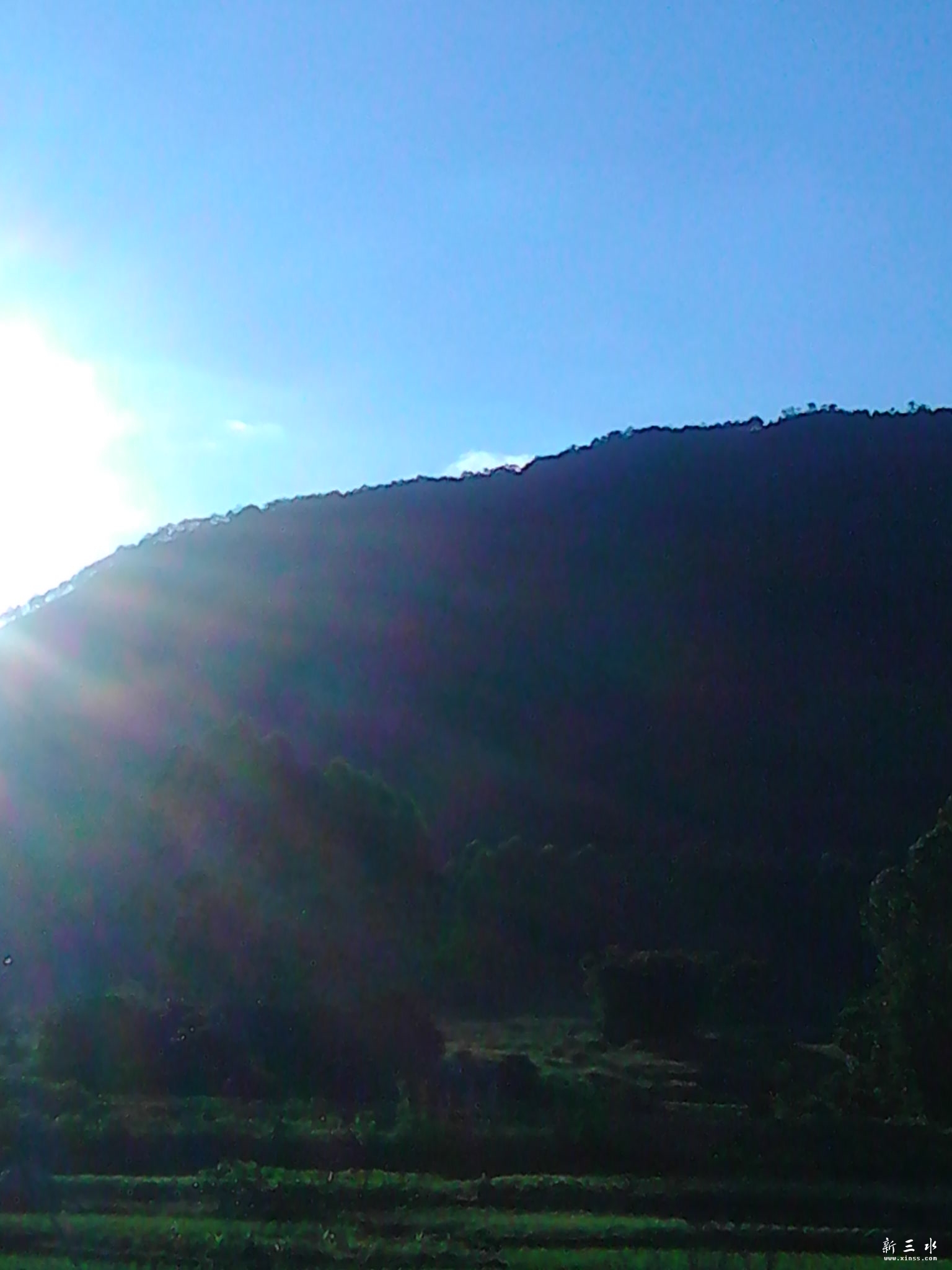 IMG_20130806_180522.jpg