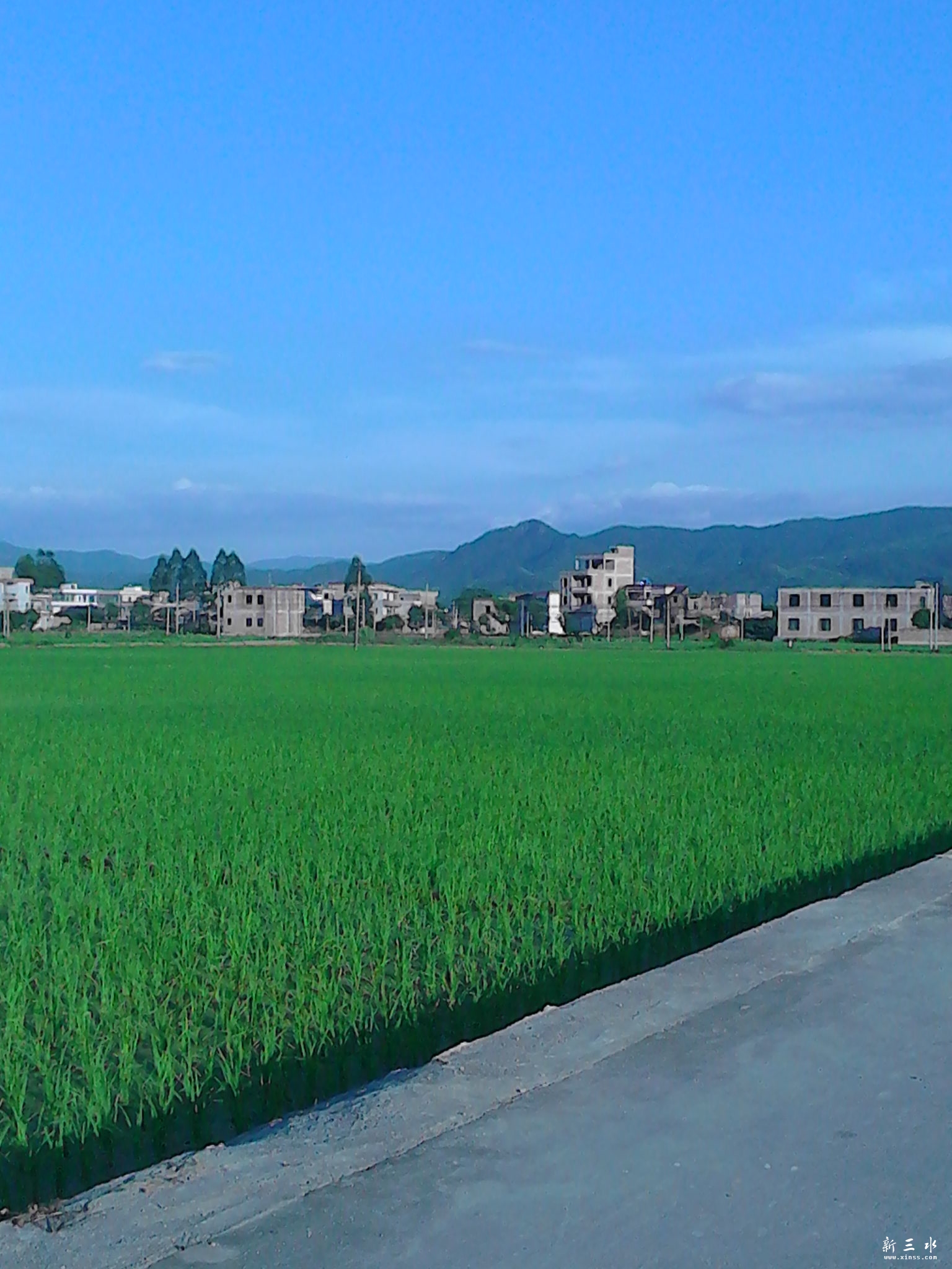 IMG_20130806_180937.jpg