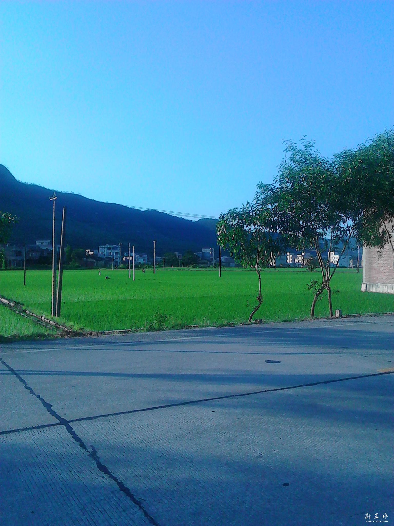 IMG_20130806_181858.jpg