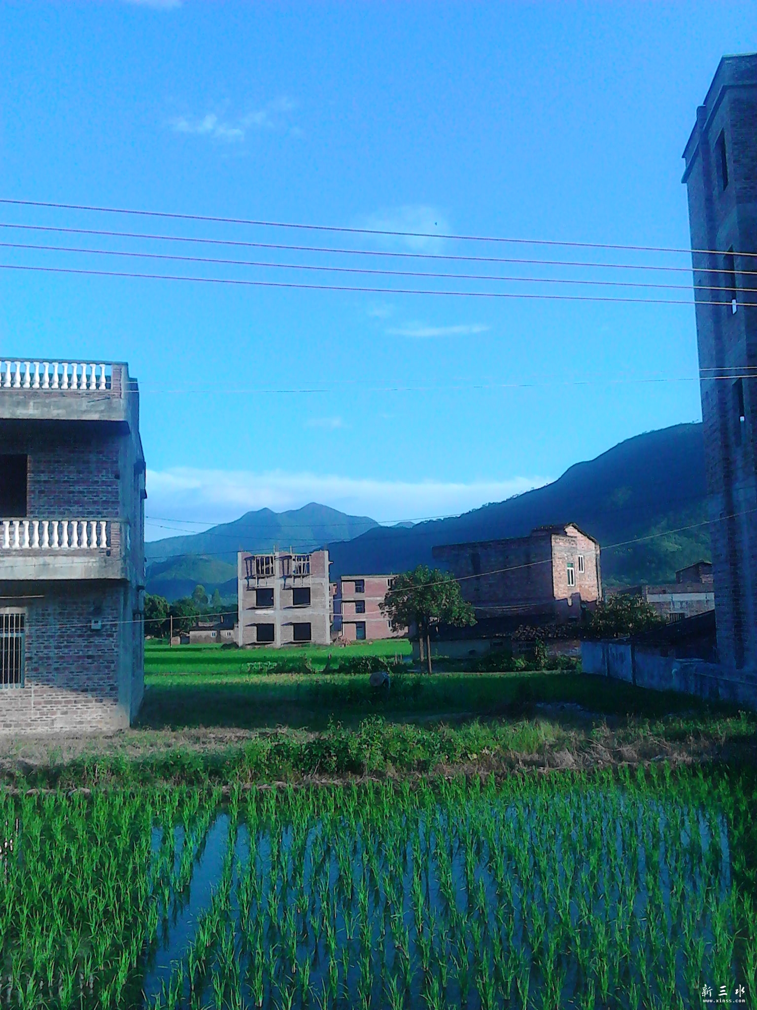 IMG_20130806_181911.jpg