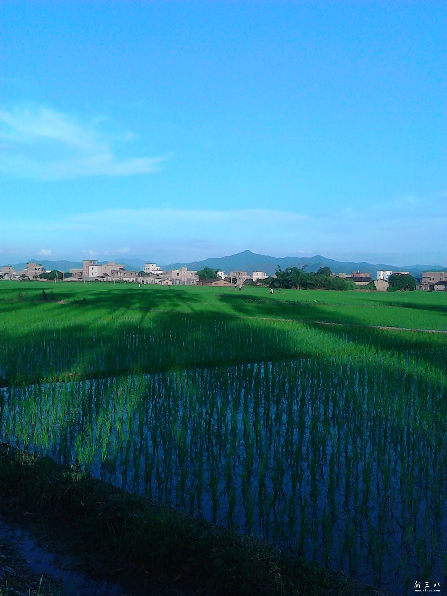 IMG_20130806_182955.jpg