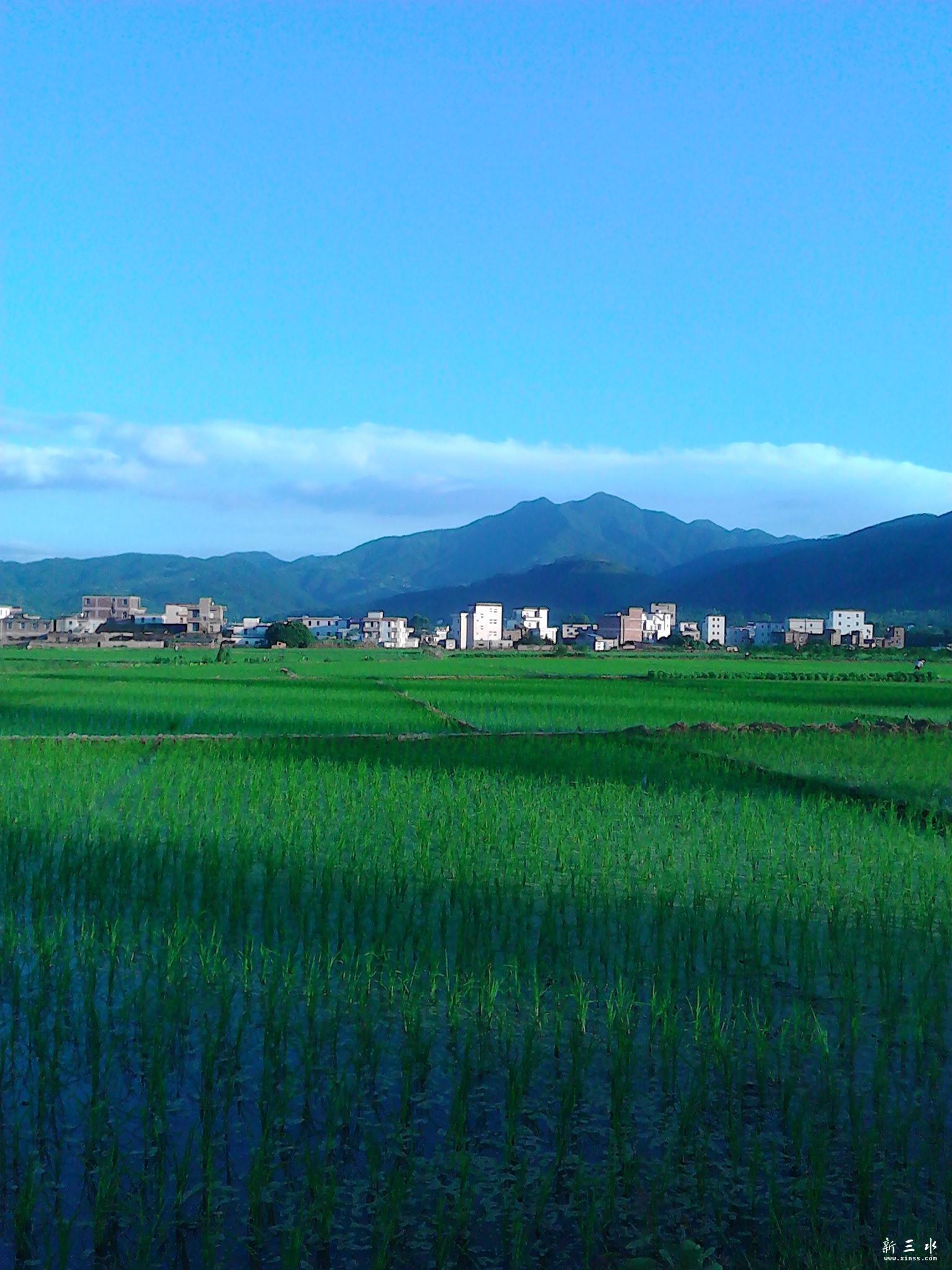 IMG_20130806_183000.jpg