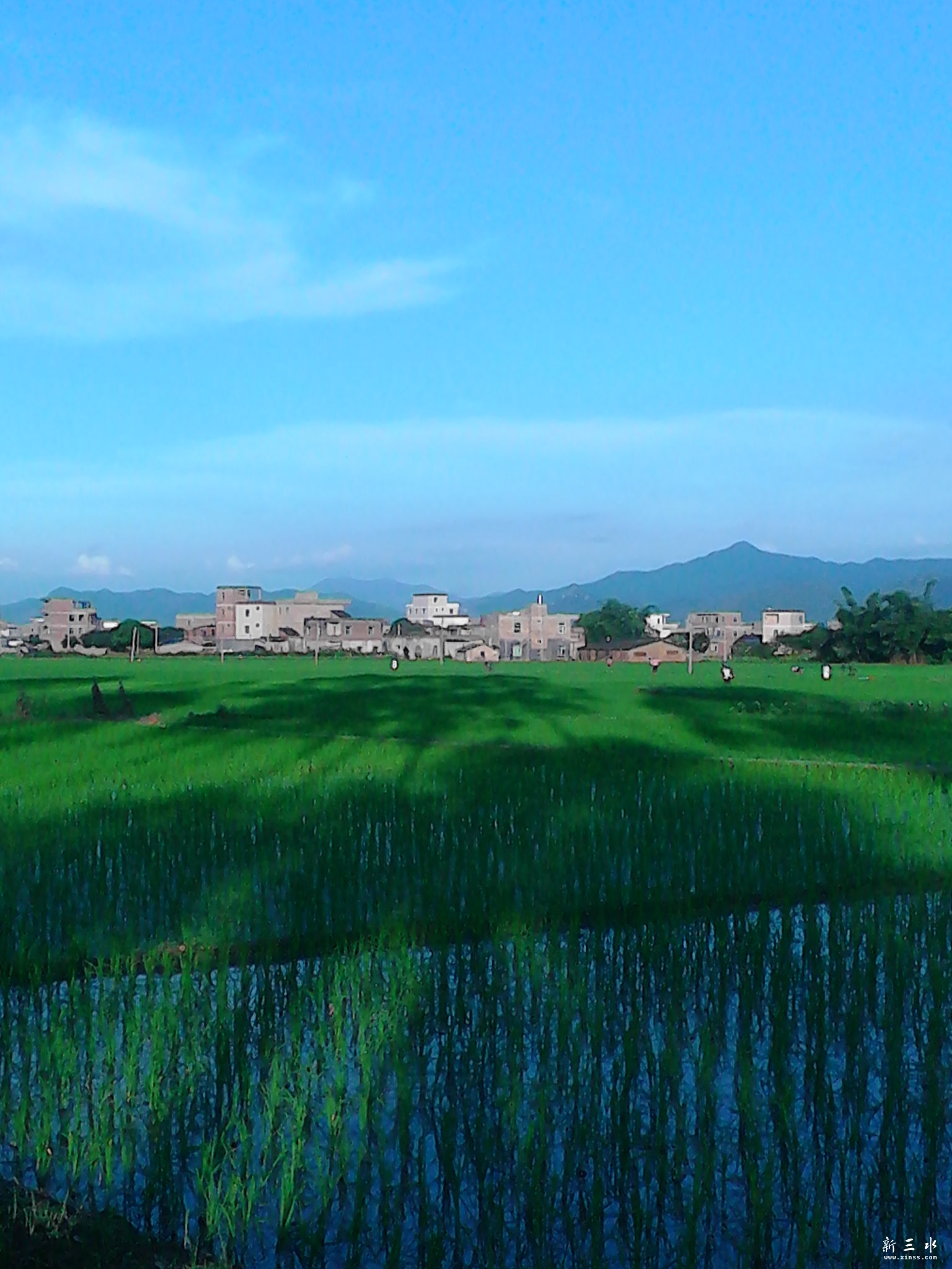 IMG_20130806_183038.jpg