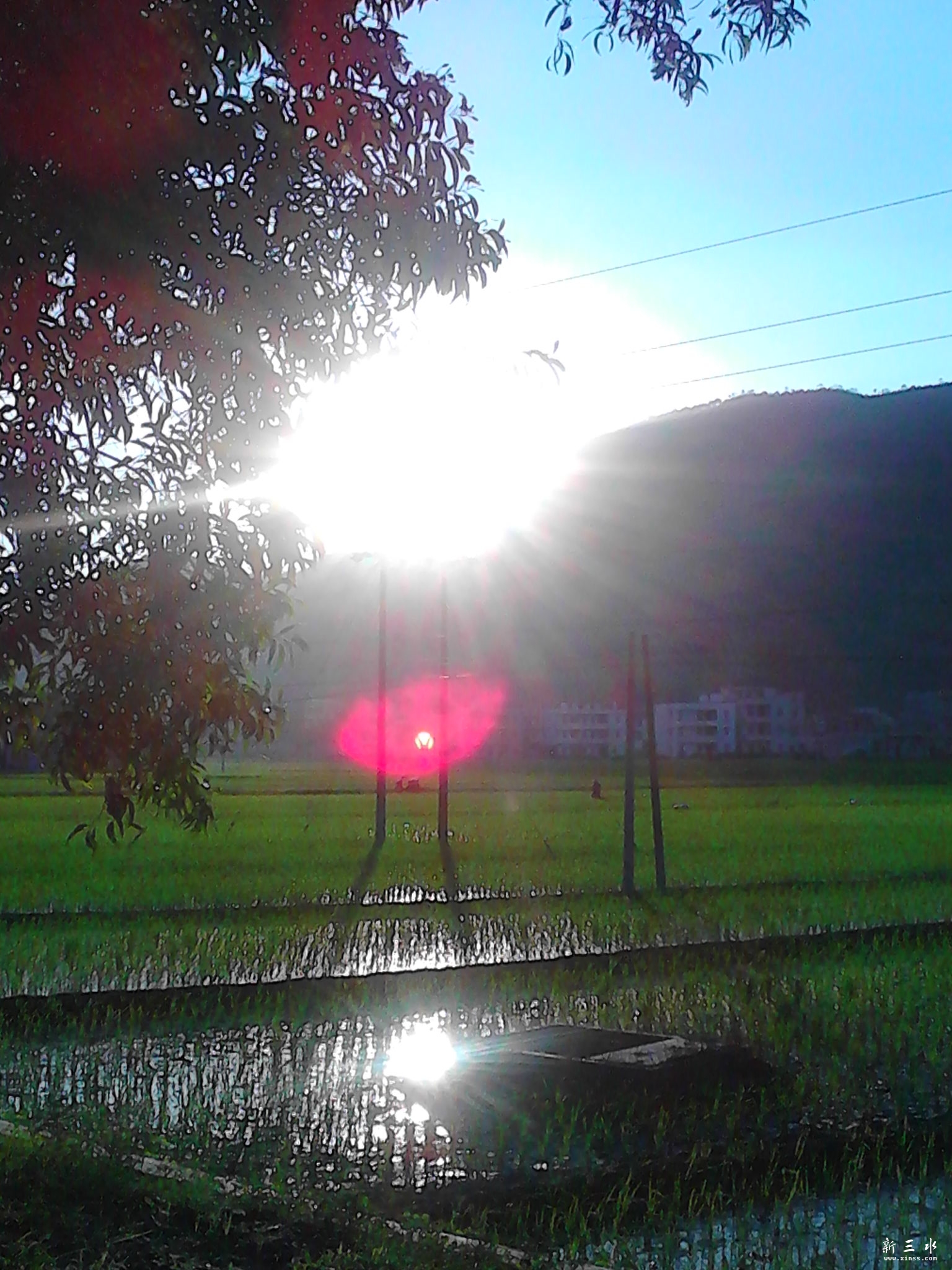 IMG_20130806_183113.jpg