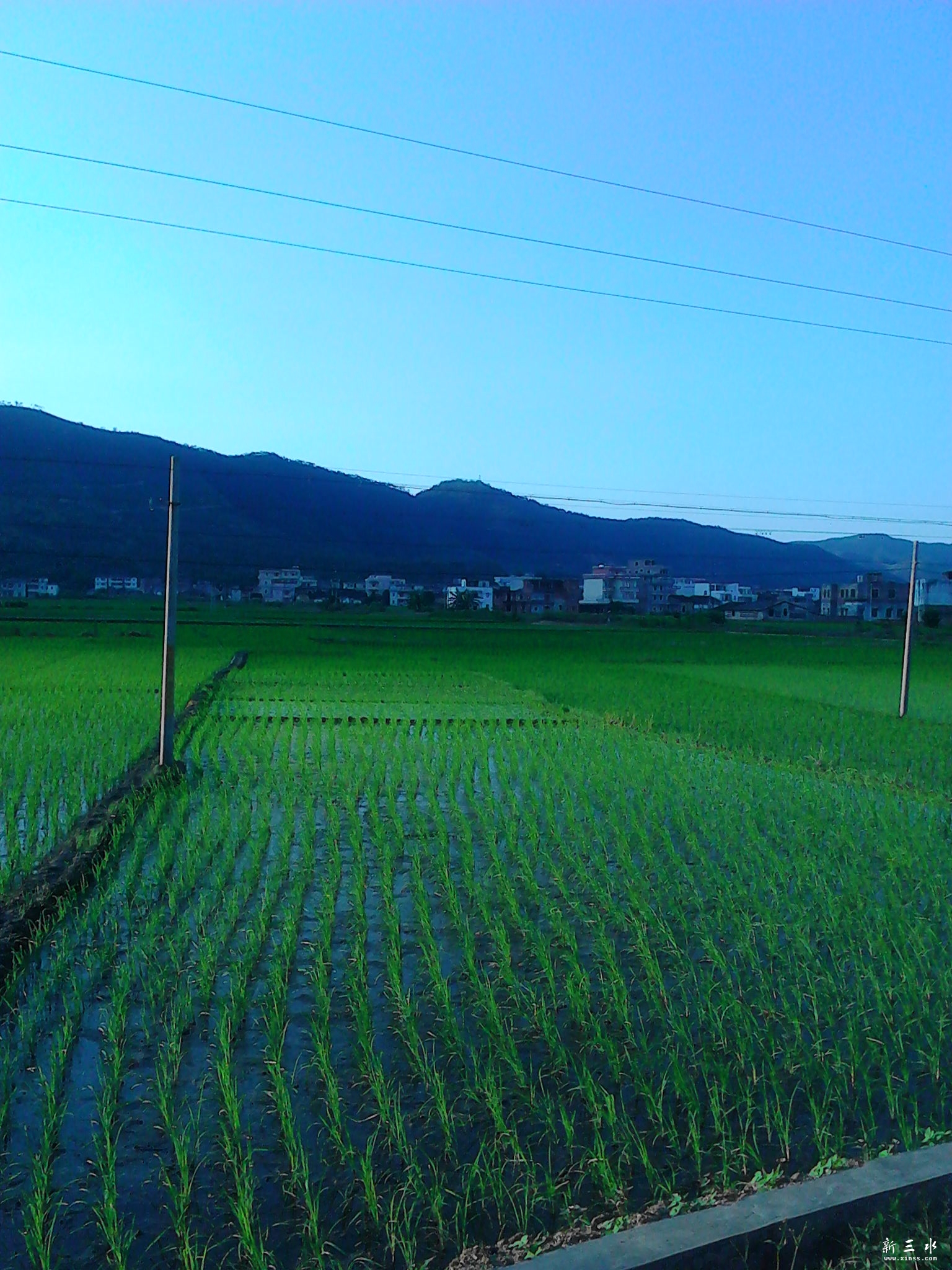 IMG_20130806_183131.jpg