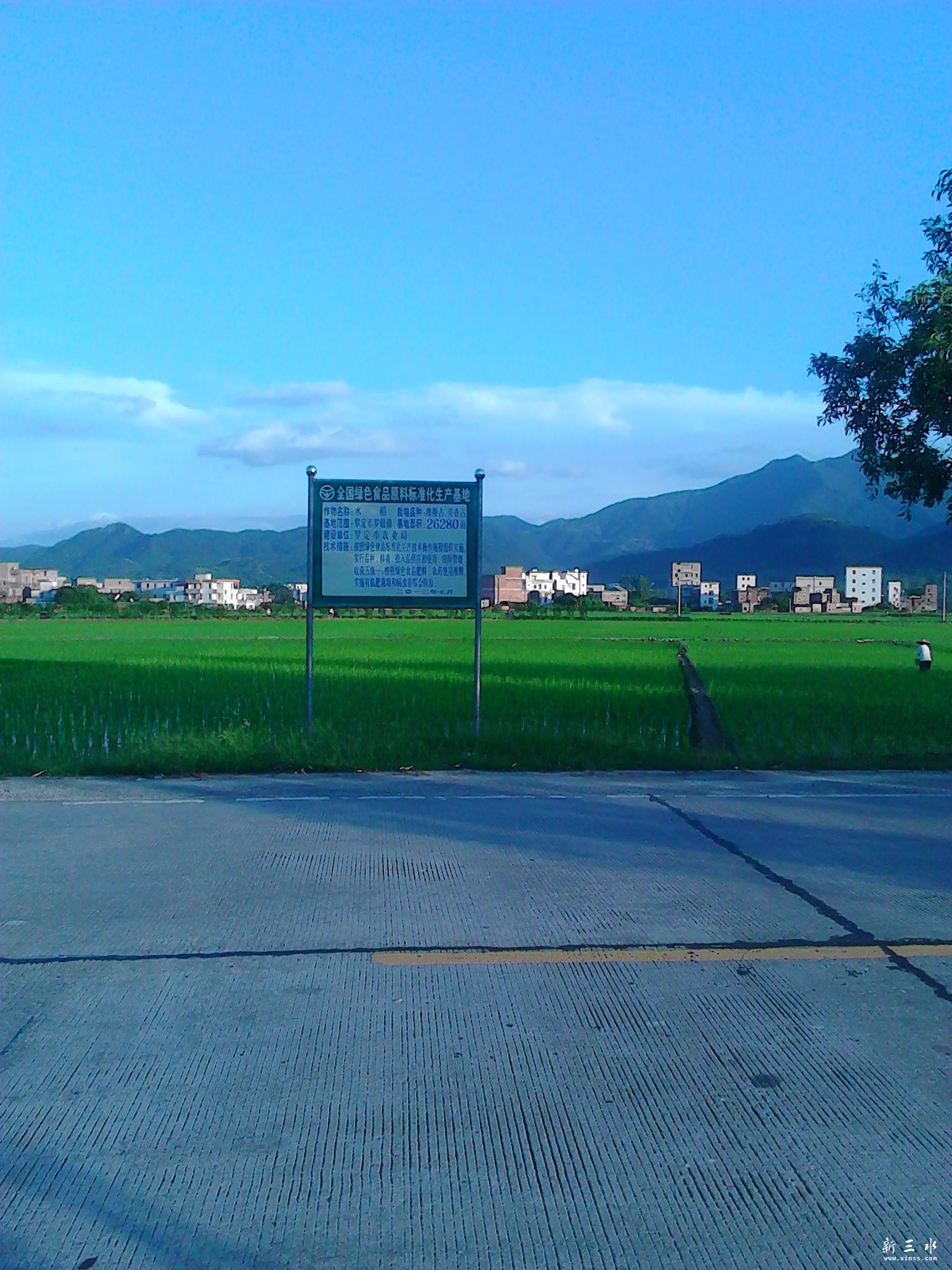 IMG_20130806_183337.jpg