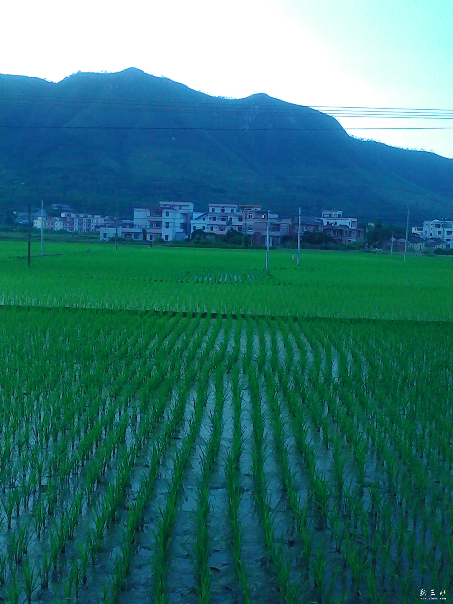 IMG_20130806_184519.jpg