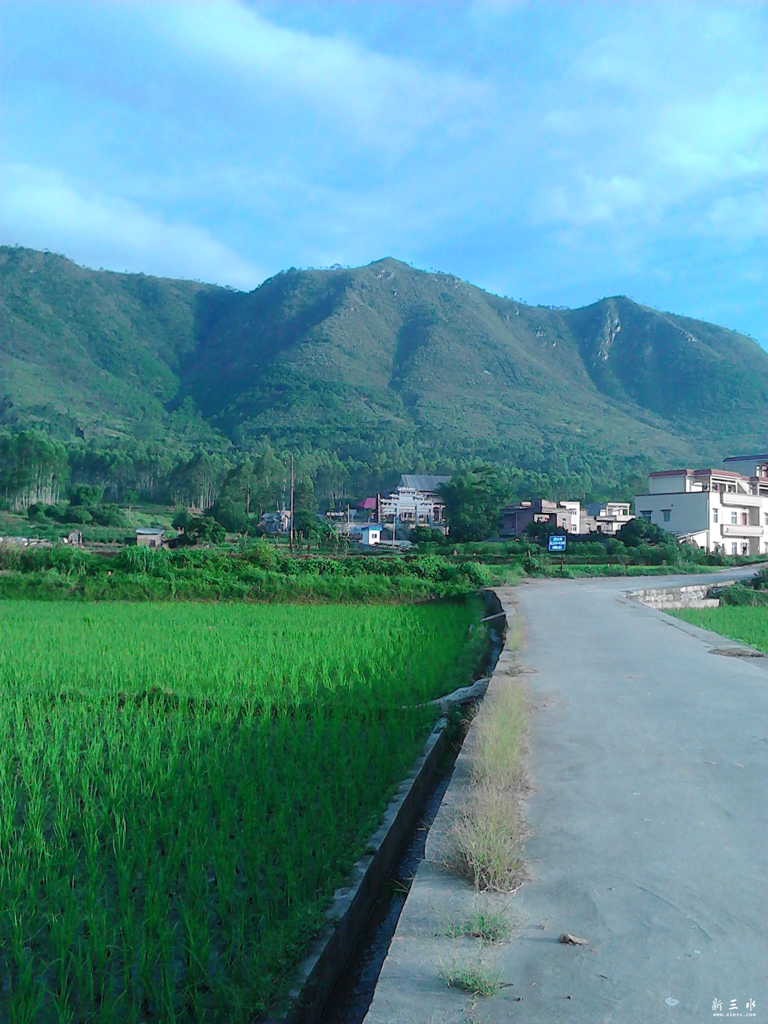 IMG_20130807_070045.jpg