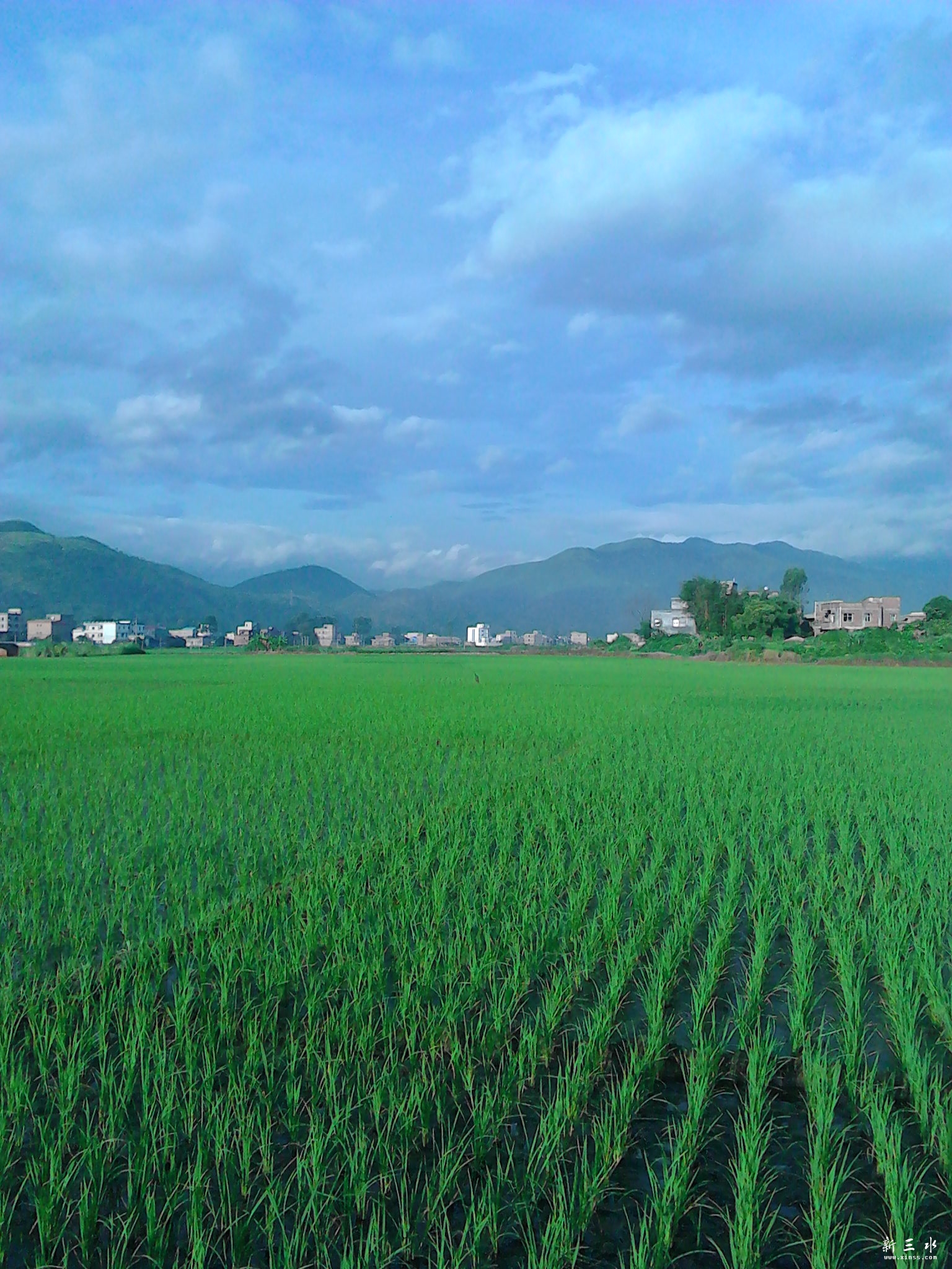 IMG_20130807_070050.jpg