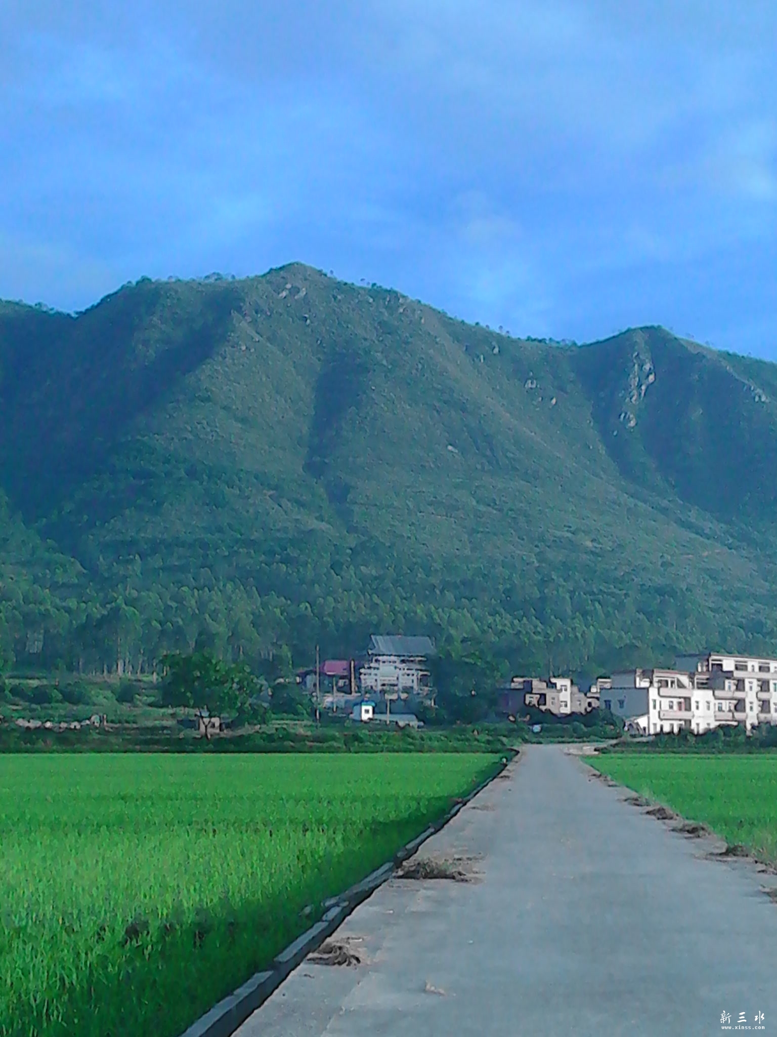 IMG_20130807_070346.jpg
