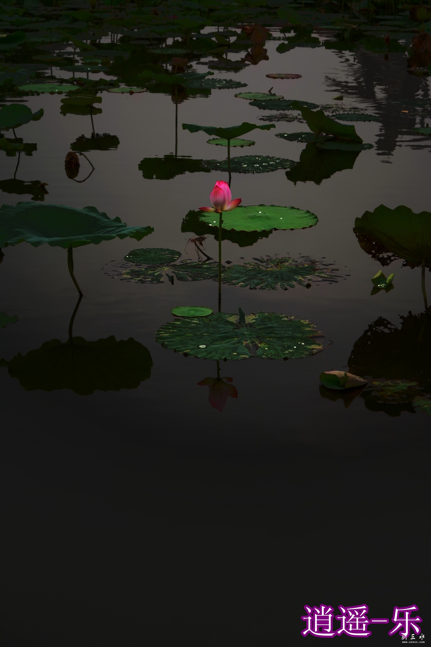 DSC_0152_副本.jpg