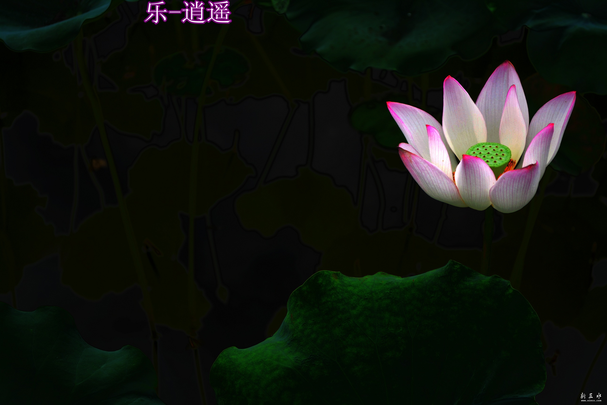 DSC_0162_副本.jpg