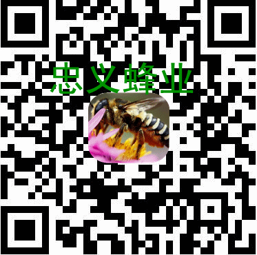 微信蜂业.gif