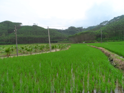 DPP_0041.JPG