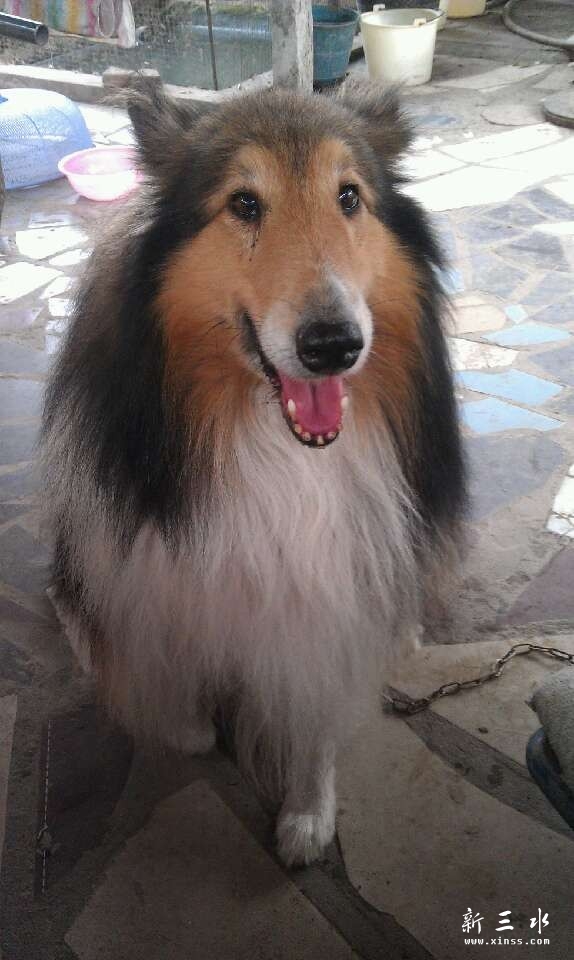 QQ图片20130811221916.jpg