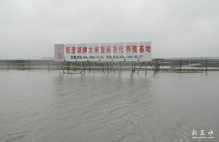 阳澄湖实境图.jpg