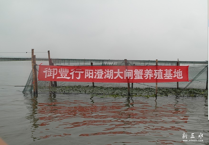 阳澄湖实境图2.jpg