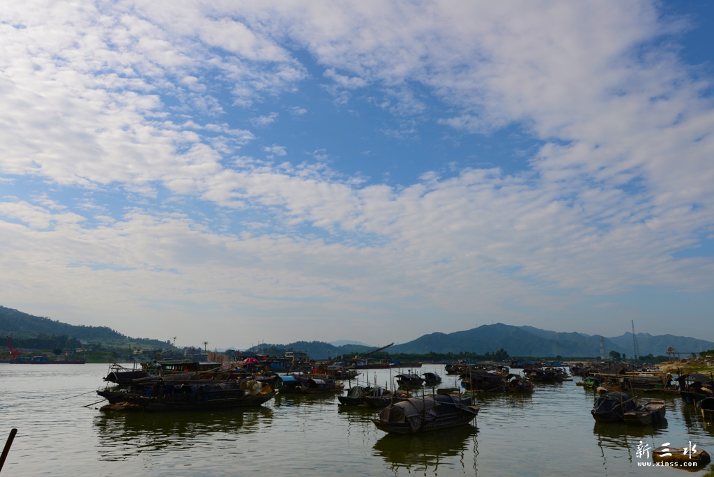 DSC_5539.jpg