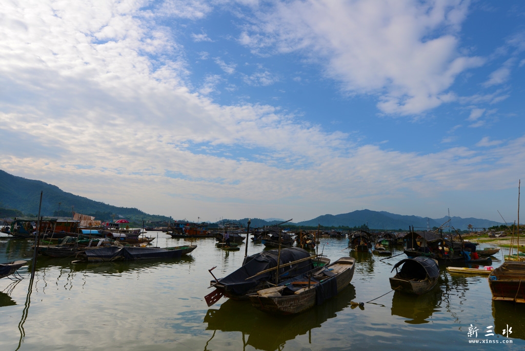 DSC_5559.jpg