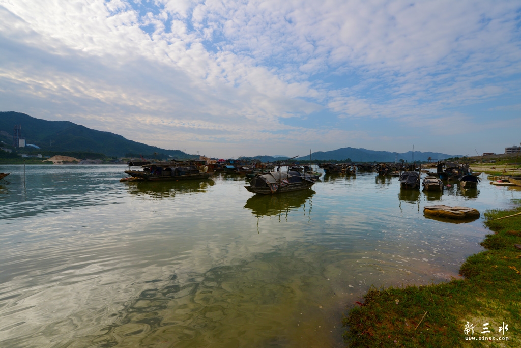 DSC_5565.jpg