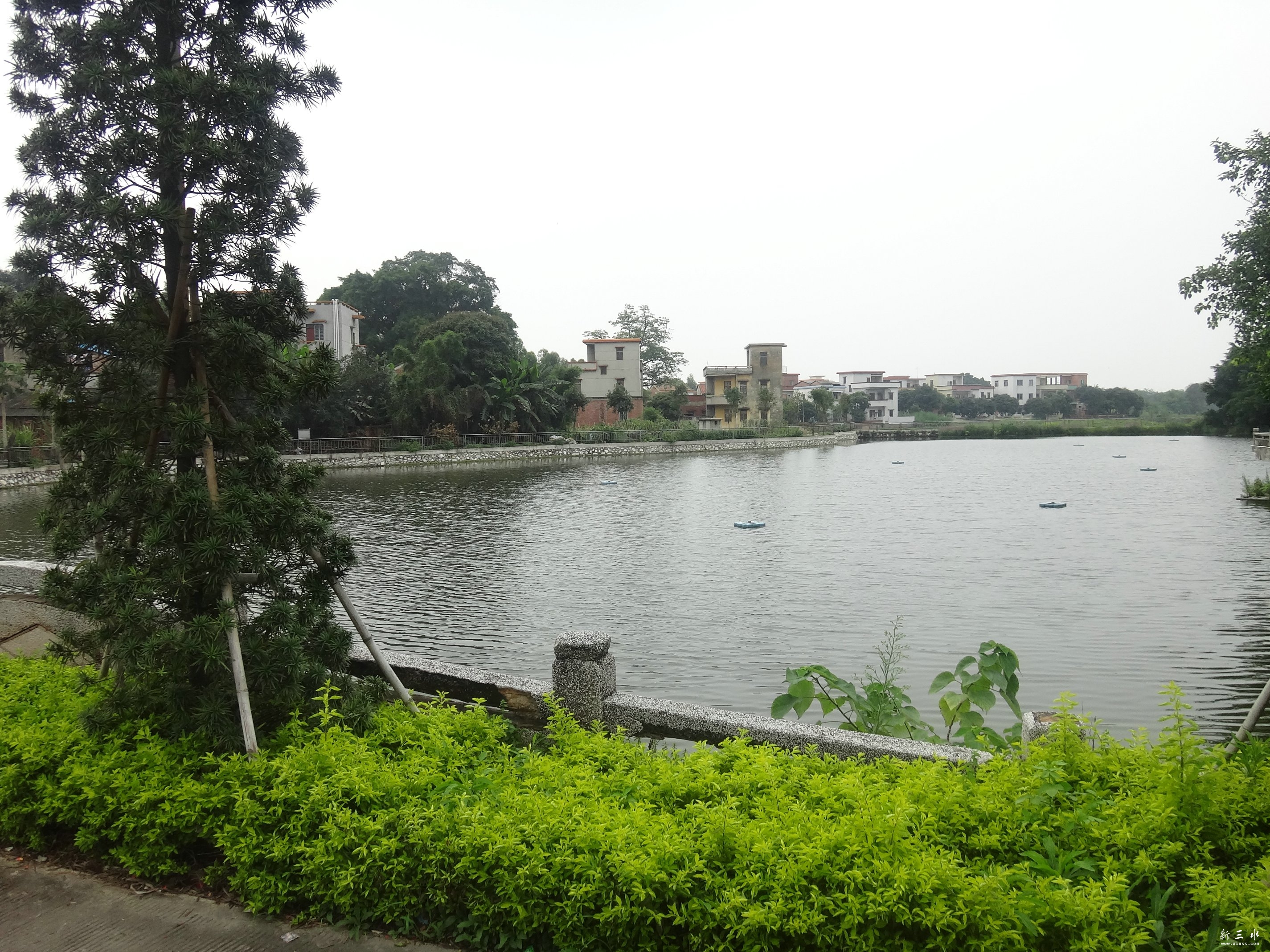 DSC01248.JPG