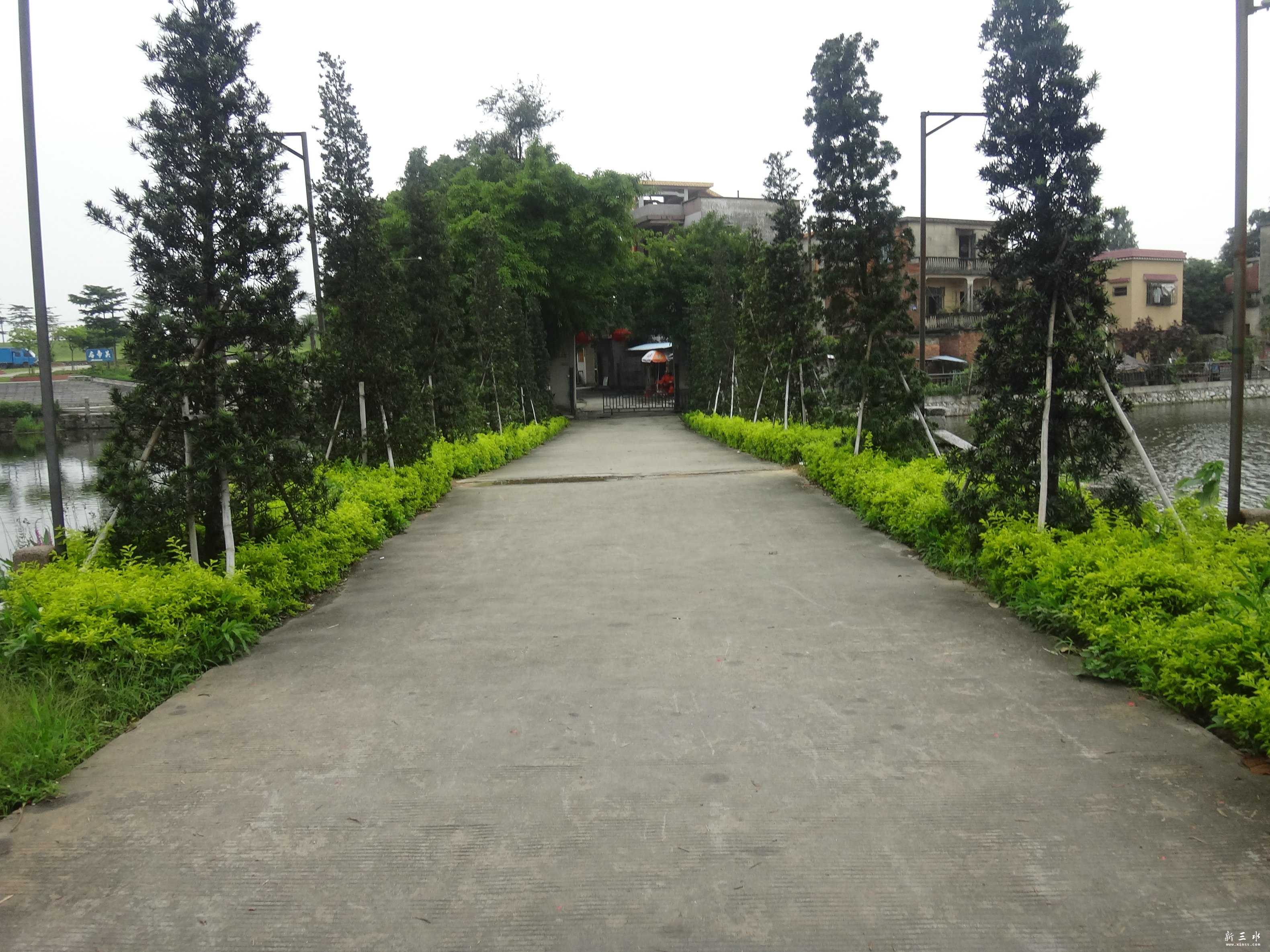 DSC01251.JPG