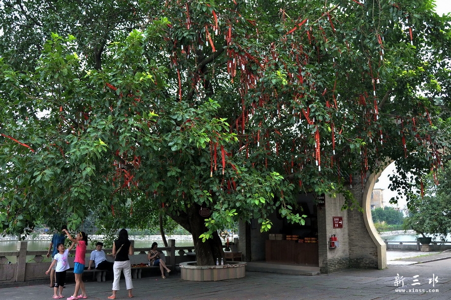 《灵愿》