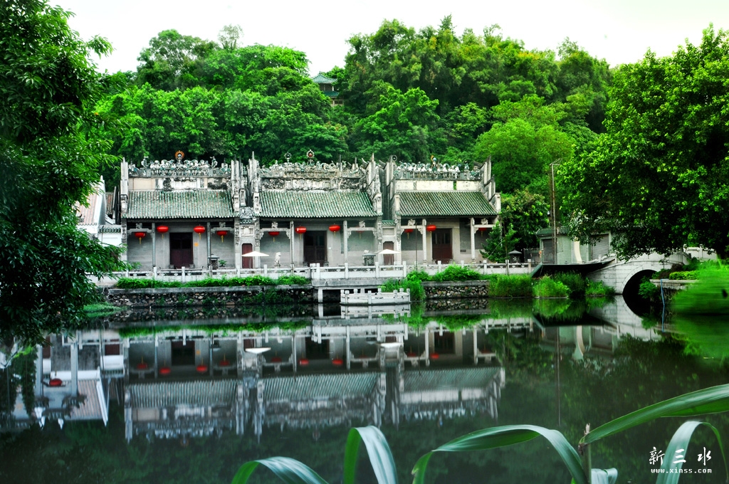 翠绿环抱.jpg