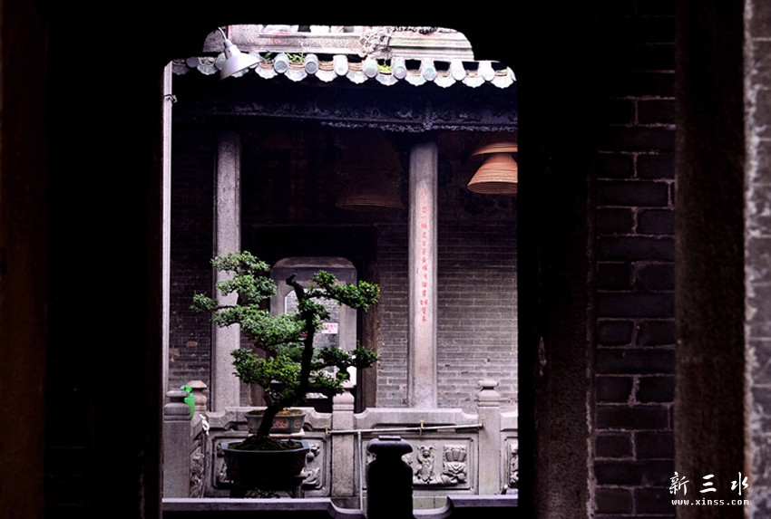 DSC_2855_副本.jpg