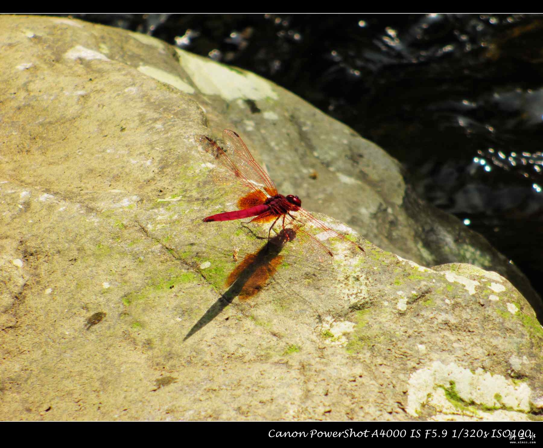 IMG_1103_副本.jpg