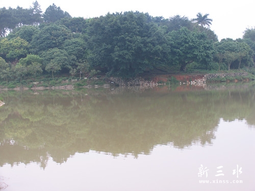 照片 098_副本.jpg