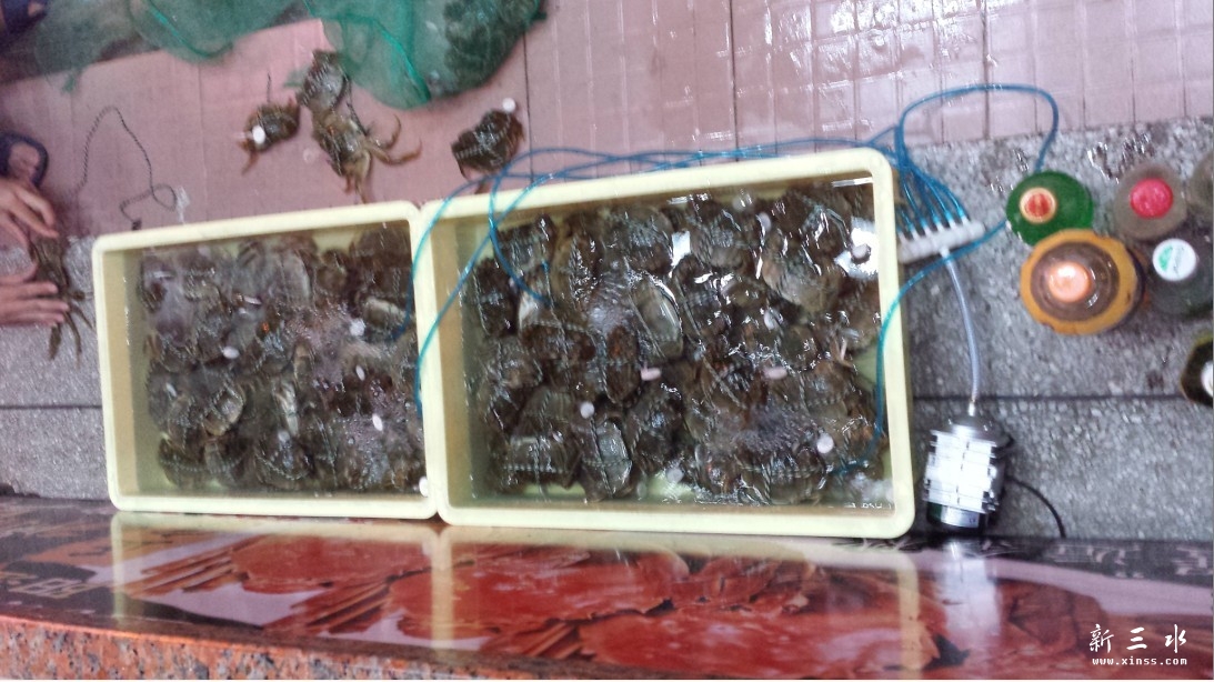 QQ图片20130929205558.jpg
